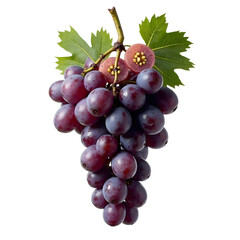 Fototapeta premium A bunch of dark purple grapes with leaves on a white background