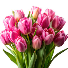 Obraz premium A lush bouquet of pink tulips isolated on transparent background, their delicate petals and vibrant green leaves creating a stunning floral display