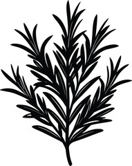 Retro style sunglasses with gradient lenses and classic tortoiseshell frame on a solid backdrop transparent background