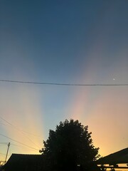 sunset sky with tree view in village 