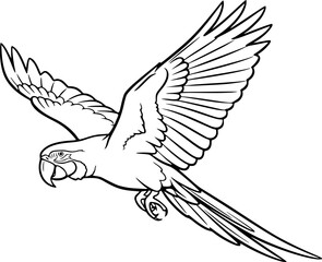 Macaw silhouette, Macaw svg, Macaw parrot silhouette, Parrot svg, Parrot silhouette, Flying macaw silhouette, Flying macaw 