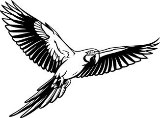 Obraz premium Macaw silhouette, Macaw svg, Macaw parrot silhouette, Parrot svg, Parrot silhouette, Flying macaw silhouette, Flying macaw 