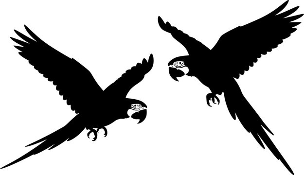 Macaw silhouette, Macaw svg, Macaw parrot silhouette, Parrot svg, Parrot silhouette, Flying macaw silhouette, Flying macaw 
