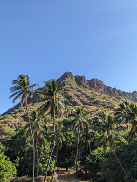 Rugged Mountain Peak with Tall Palm Trees and Lush Green Vegetation under Clear Blue Sky in Cape Verde, Africa