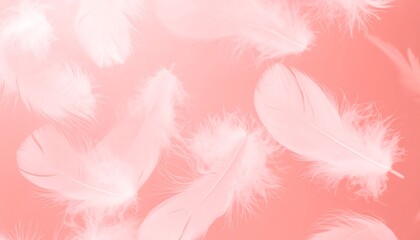 Obraz premium Delicate, soft feathers in a coral-toned background