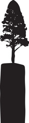Black silhouette of a pine tree in a rectangular planter black and white