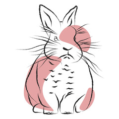 Hand drawn bunny rabbit illustration in minimal sketch style