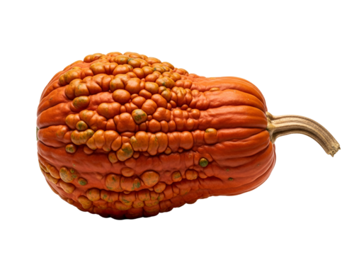 A single, vibrant orange pumpkin, marked with numerous small, bumpy textures, presented against a pure black background.