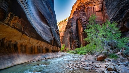 the narrows zion national park utah