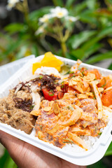 Vibrant Hawaiian poke plate with spicy ahi, salmon, and kalua pig held outdoors by a black man’s hand, celebrating island flavors and cultural food diversity in natural light.