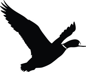 Flying duck silhouette vector, mallard bird in flight, wild waterfowl icon, black isolated duck illustration on white background design