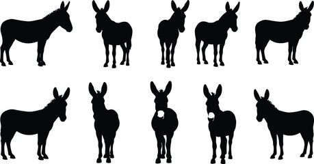 Set of donkey silhouettes, black donkey vector illustration, farm animal clipart, mule side view pose, domestic livestock isolated art