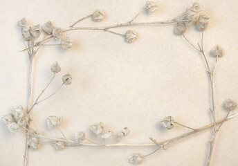 Macro photo of dried beige hollyhock buds forming frame on kraft paper