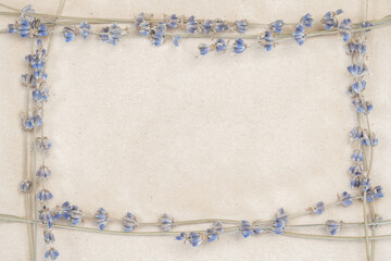 Detailed floral frame of blue lavender flowers on textured kraft paper background for invitation and postcard