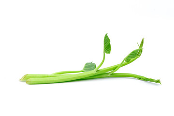Obraz premium Green morning glory, natural food for Asian people, isolated on white background