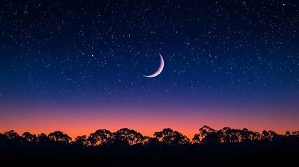 Fototapeta premium Night sky with crescent moon and stars background wallpaper