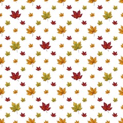 Repeating pattern showcases a random scattering of realistic maple leaves in vibrant autumn colour—red, yellow, and green—against a clean, white background. The design creates a cheerful and seasonal 