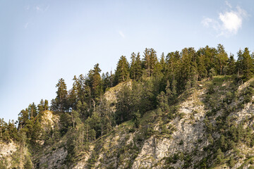 Scenic view of a rocky mountain slope adorned with lush green trees under a clear blue sky in the early evening light