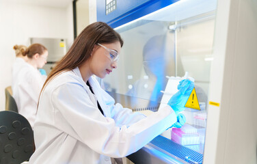 Scientist conducting research in a laboratory using biosafety cabinet and safety gear