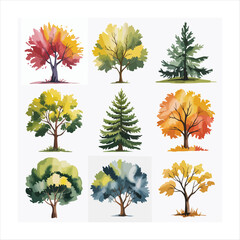 Various tree vectors. Forest and nature concept. Collection of different tree symbols. Education and training poster design. Vector drawn for plant and tree presentation.