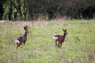 Taken near Salisbury, England.