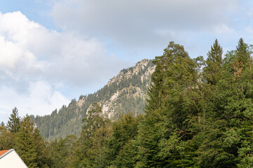 Scenic mountain landscape with lush trees and cloudy sky near a serene location in the afternoon