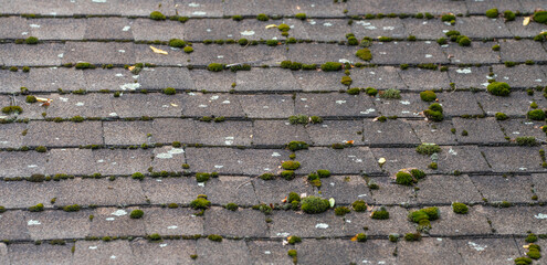 dirty house roof shingle as design background © nd700