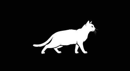 Elegant white cat silhouette captured in profile against a stark black background showcasing its graceful form and alert posture