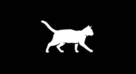 Elegant white cat silhouette walking gracefully with its tail held high against a solid black background symbolizing purity and movement
