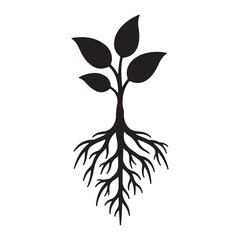 Simple Black and White Graphic of a Growing Plant with Roots and Leaves representing Growth and Sustainability for Business Concepts