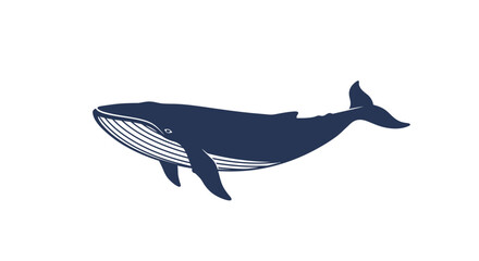 Majestic blue whale illustration with detailed flippers and tail fin on a clean white background © mrvect02