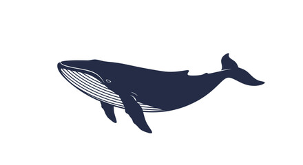 Majestic dark blue humpback whale silhouette swimming gracefully in the ocean with detailed white lines on its underside and tail fluke