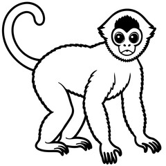 Silvery gibbon line art vector