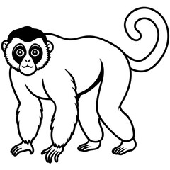 Silvery gibbon line art vector