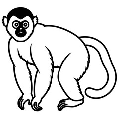 Silvery gibbon line art vector