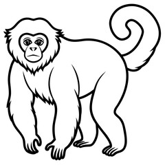 Silvery gibbon line art vector