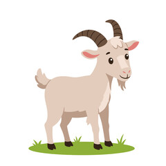 Adorable cartoon illustration of a friendly white goat with curved horns standing on green grass in a simple white background