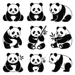 Adorable black and white pandas in various poses bear