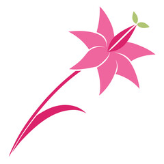 Obraz premium shooting star pink flower line art vector on white