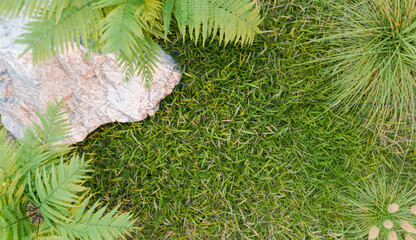 top view of rock garden, 3d illustration rendering 