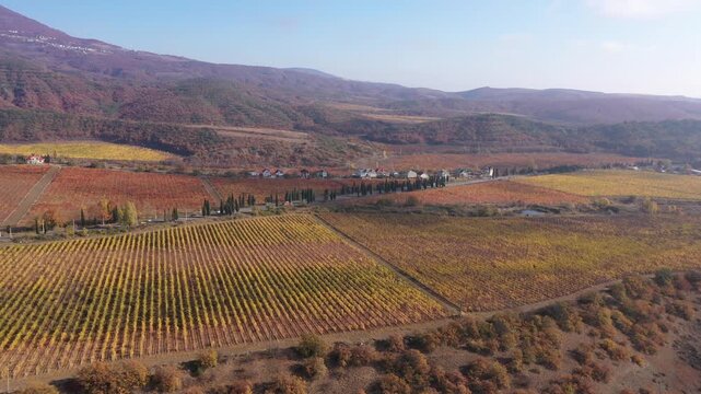 Vineyards in Spain. Rioja, Ribera del Duero, Cava, Sherry. Aerial filming