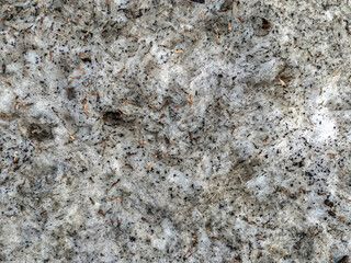 Grey dirty background of spring snow