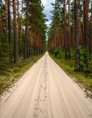 Obraz premium Sandy forest road perspective