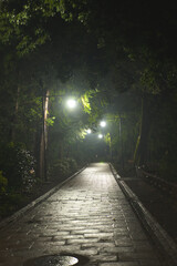 A street with a light on it and a tree