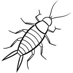 Silverfish line art vector