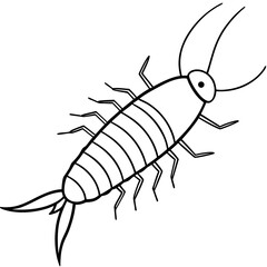 Silverfish line art vector