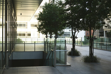 A tree in a courtyard next to a building