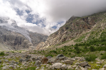 View of the glacier at the top of the mountain, covered with clouds. Melting glacial water flows down from the top of the mountain, forming waterfalls. Flowers in the highlands near the glacier.