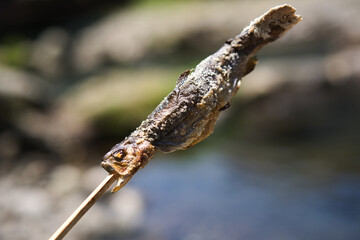 A stick with a stick sticking out of it