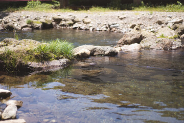 A stream of water with rocks and grass